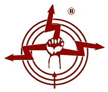 Logo von Dnberg Electronics (R)